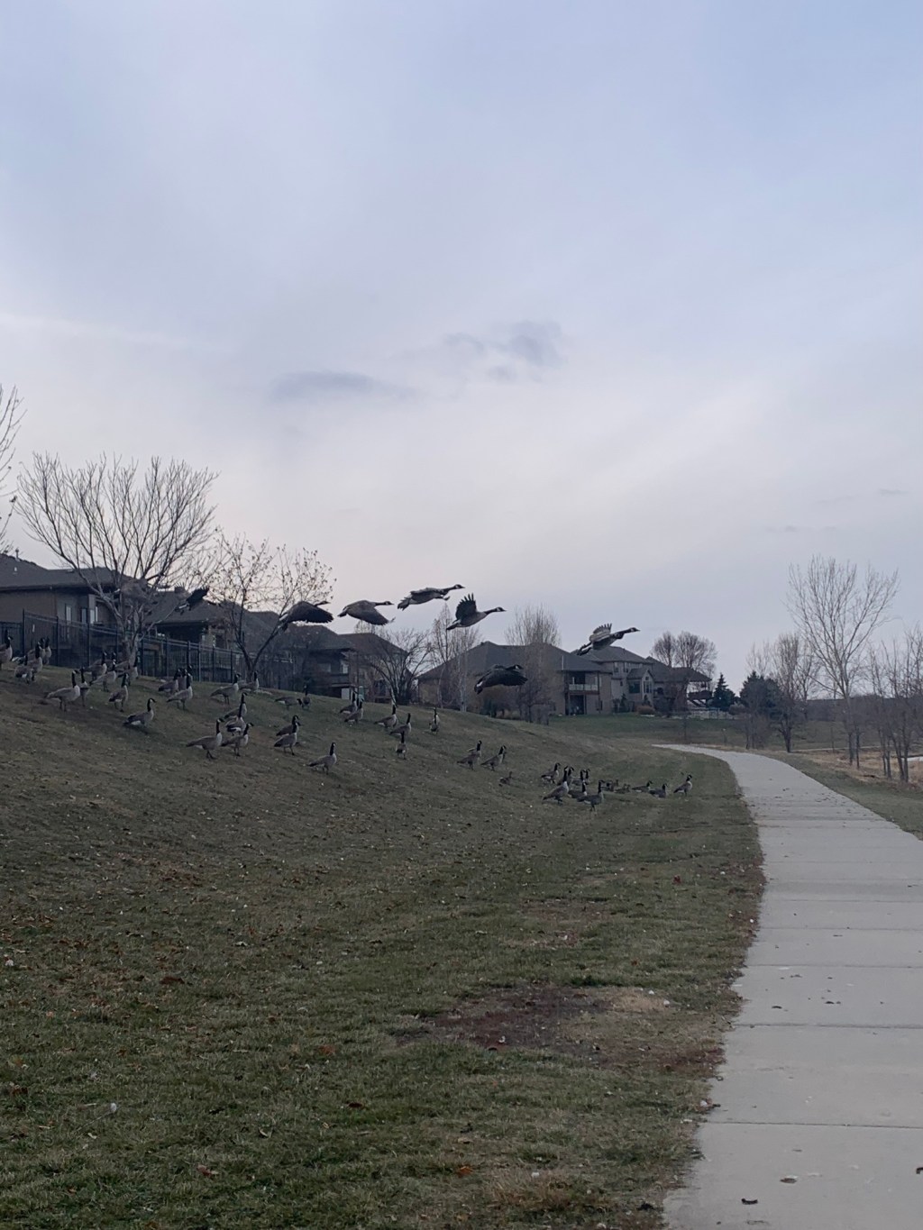 In which we are one week into the New&nbsp;Year